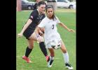 Macey Fernandez
